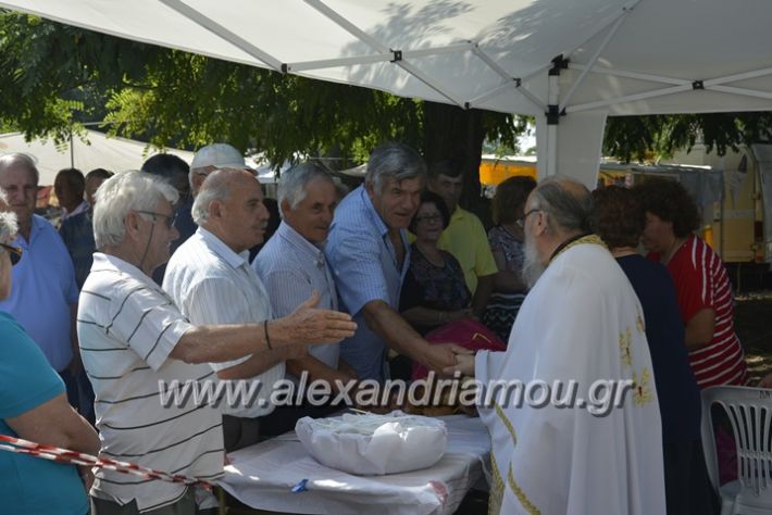 alexandriamou.gr_trikala28.5.2018305